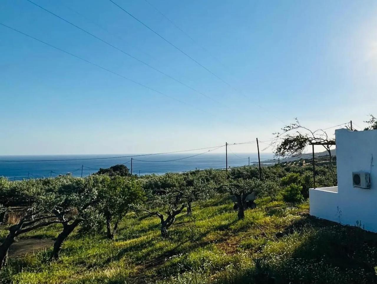 Studios Crete Φέρμα Εξωτερικό φωτογραφία
