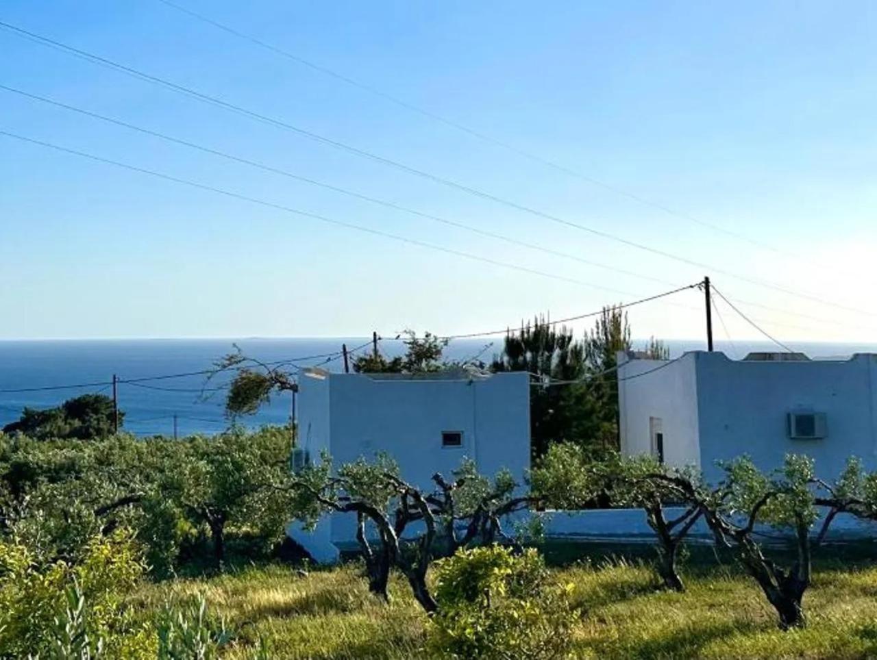 Studios Crete Φέρμα Εξωτερικό φωτογραφία