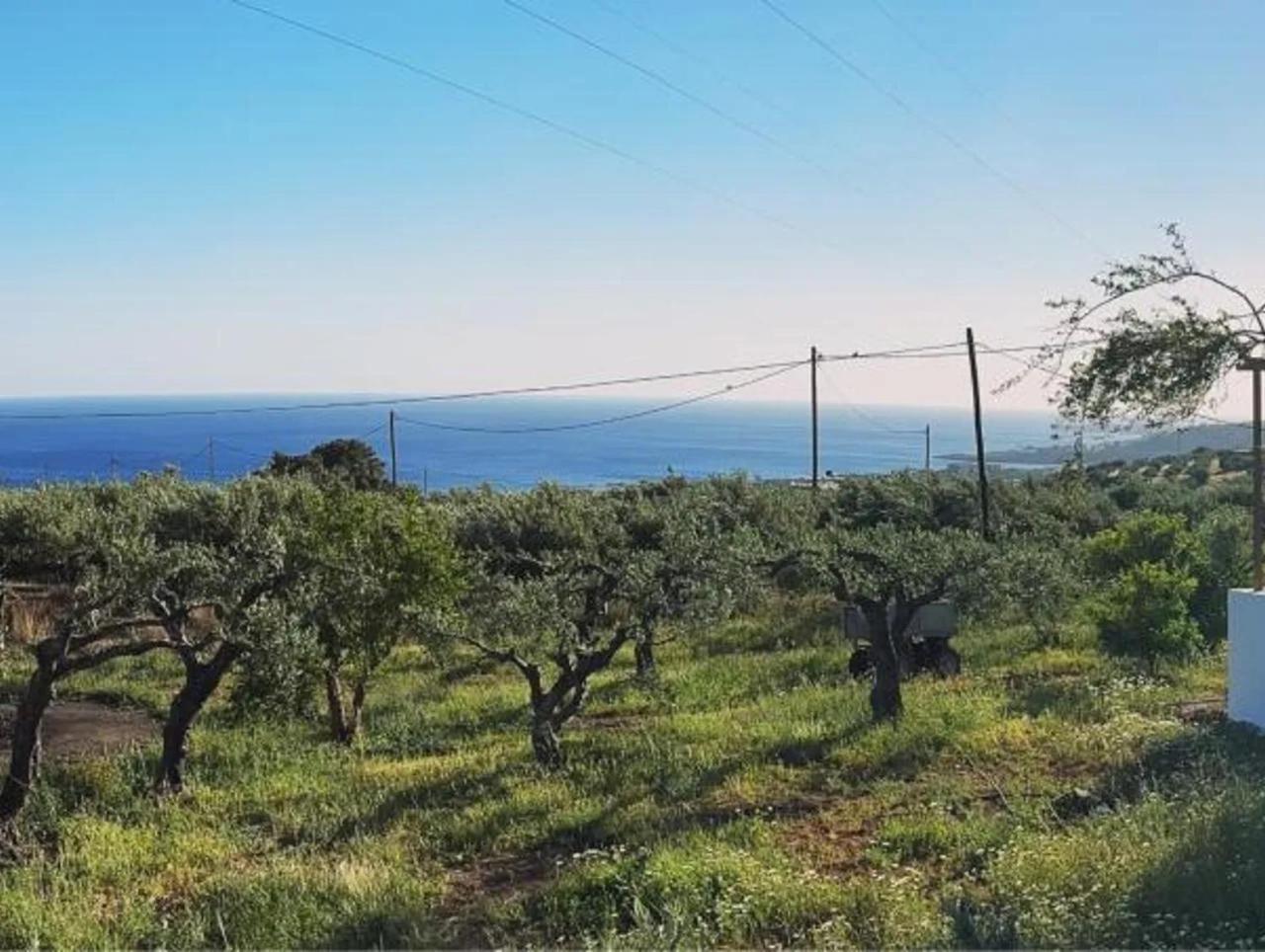 Studios Crete Φέρμα Εξωτερικό φωτογραφία